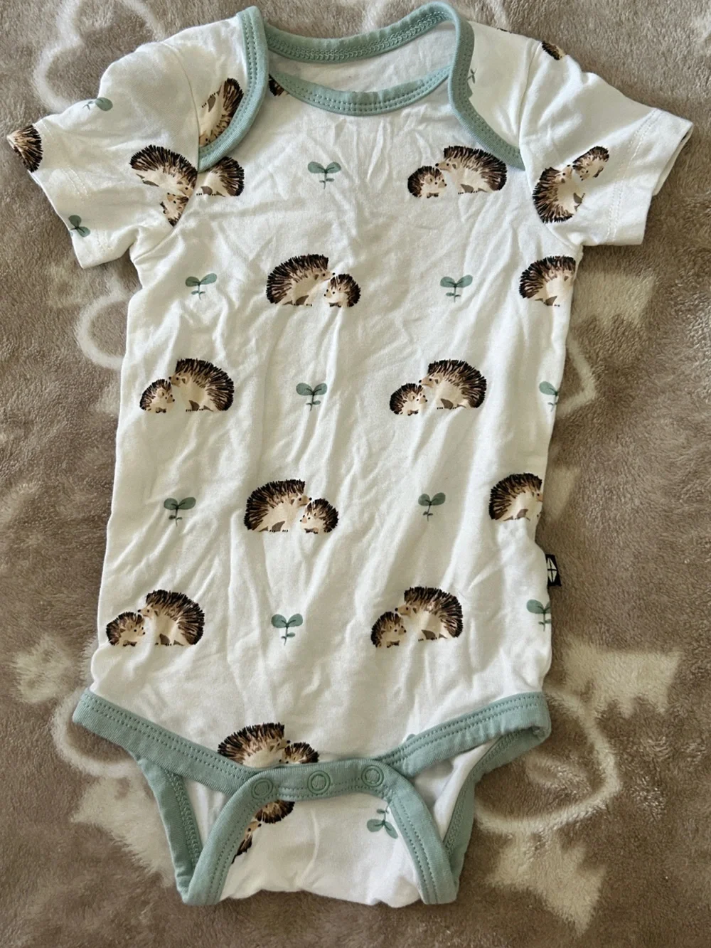 Kyte baby hedgehog onesie
